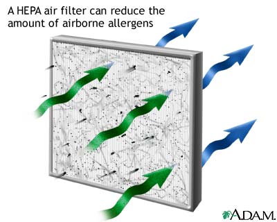 HEPA air filter